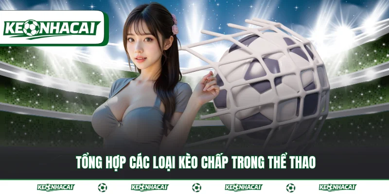 Kèo chấp - Hướng dẫn cách đọc kèo cược chuẩn xác 2026 3 Tổng hợp các loại kèo chấp trong thể thao